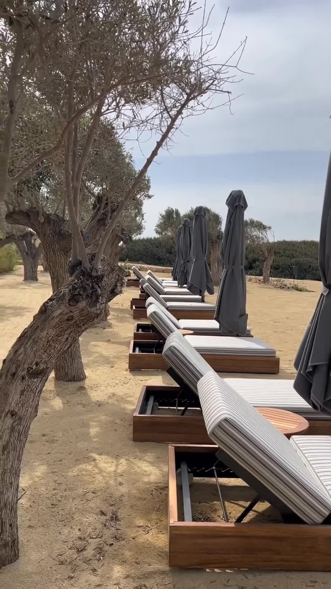 Vidéo du créateur