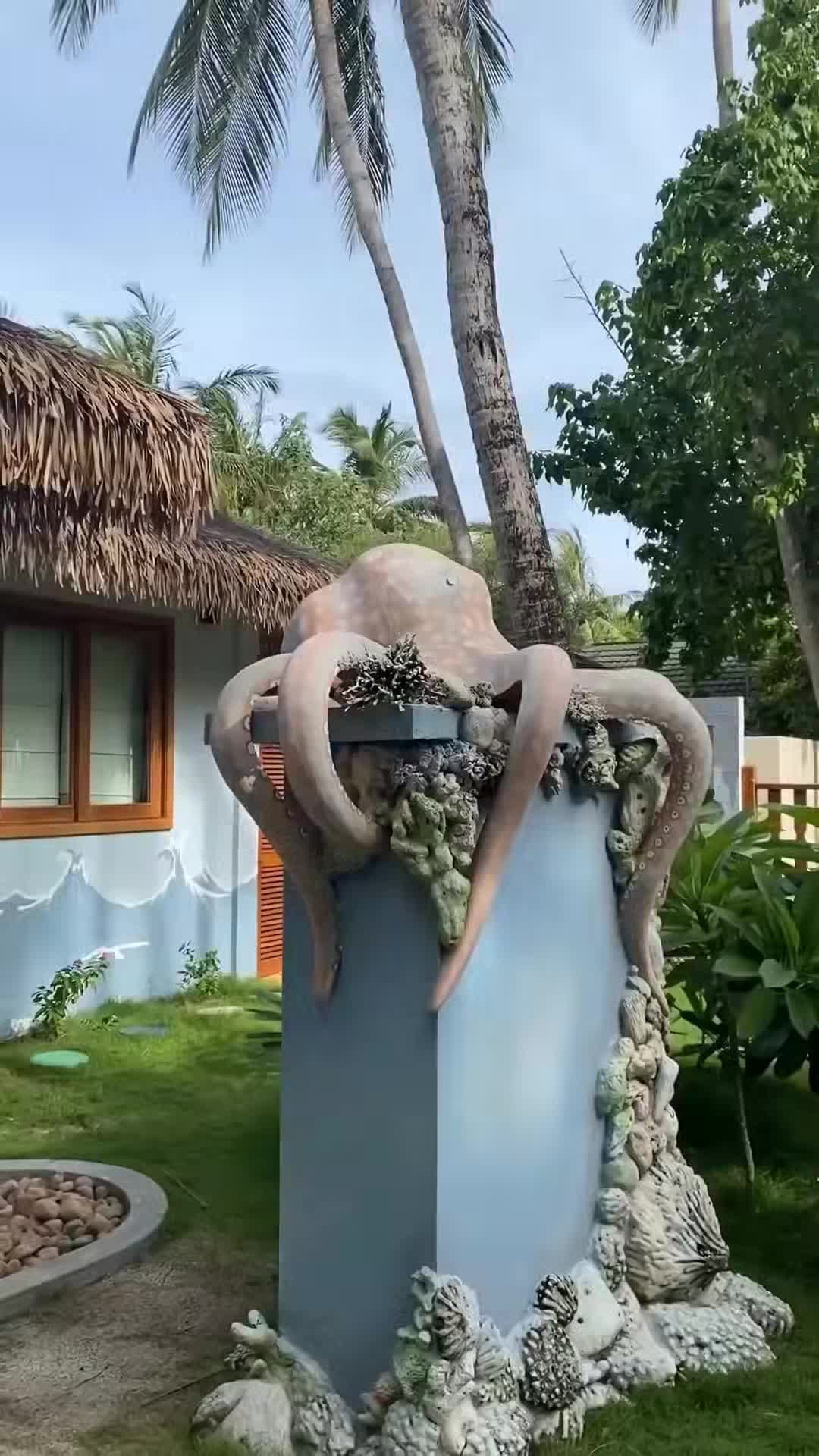 Creator video