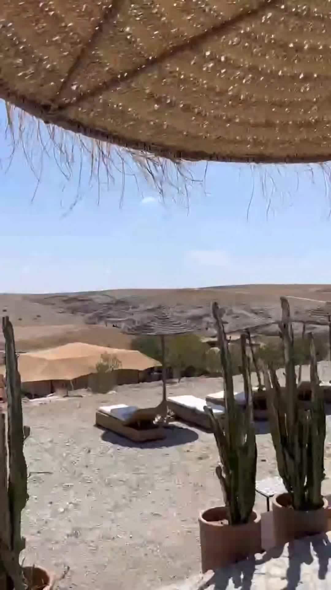 Vidéo du créateur