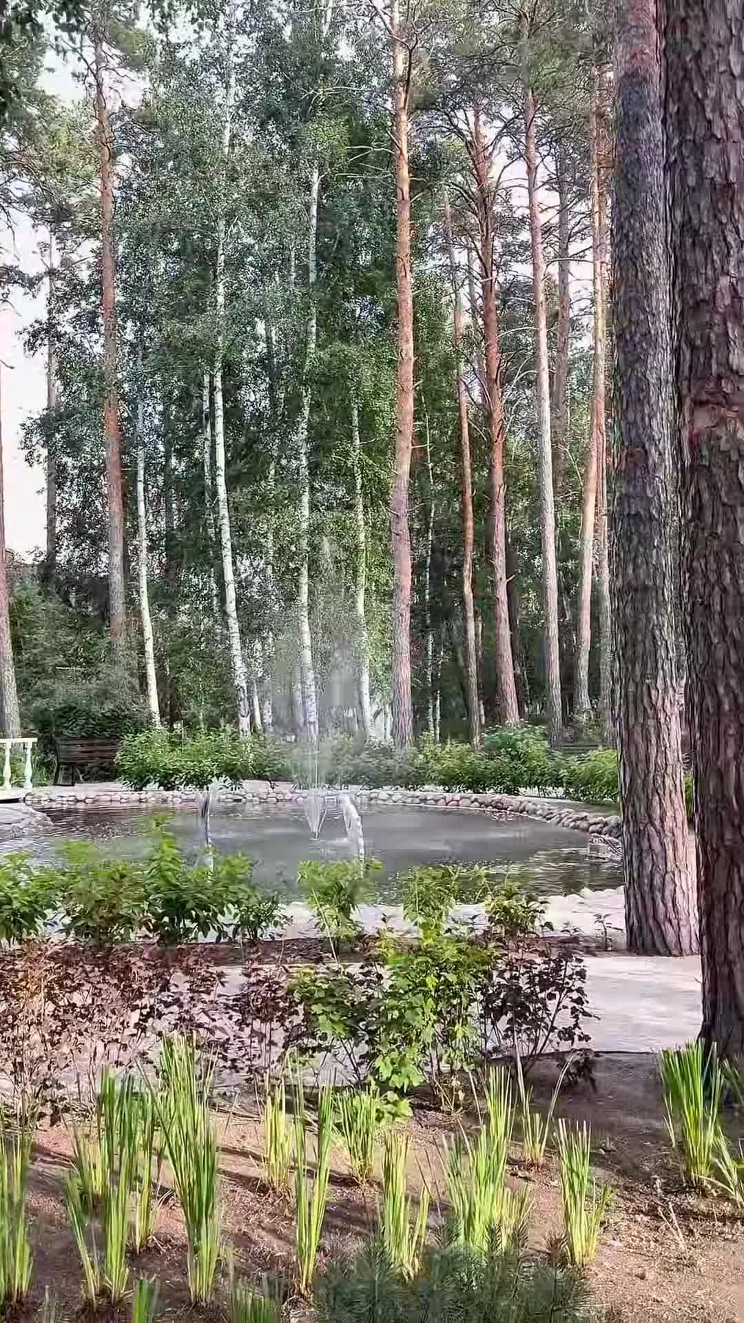 Creator video