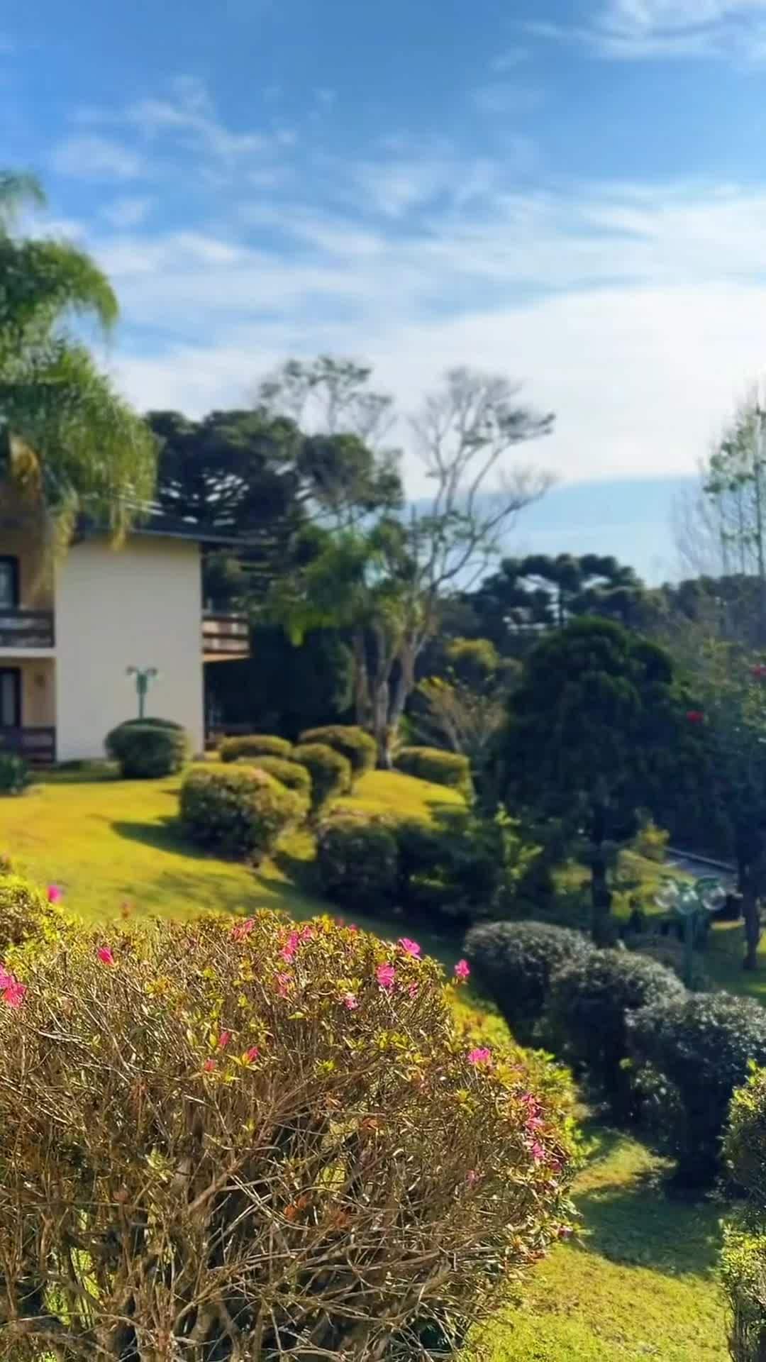 Vídeo fet per un creador