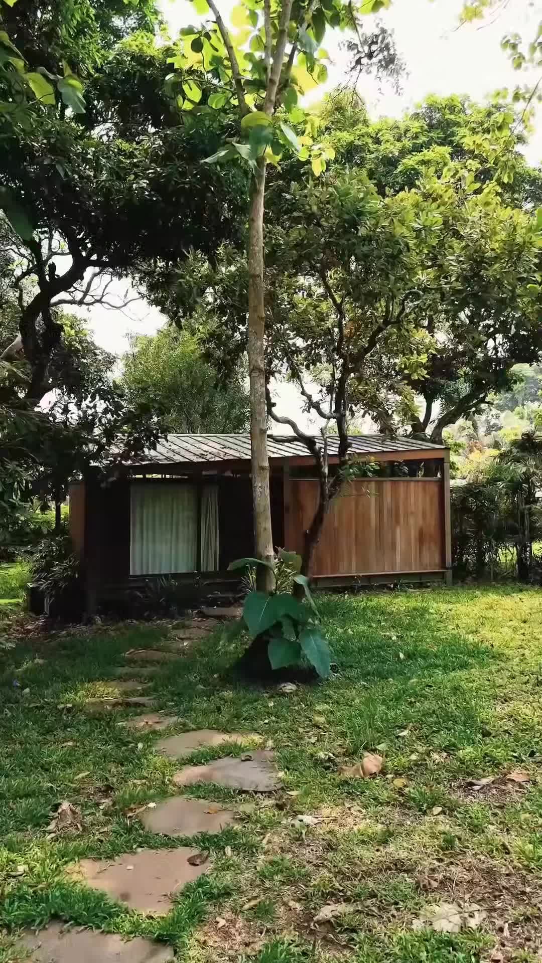 Creator video