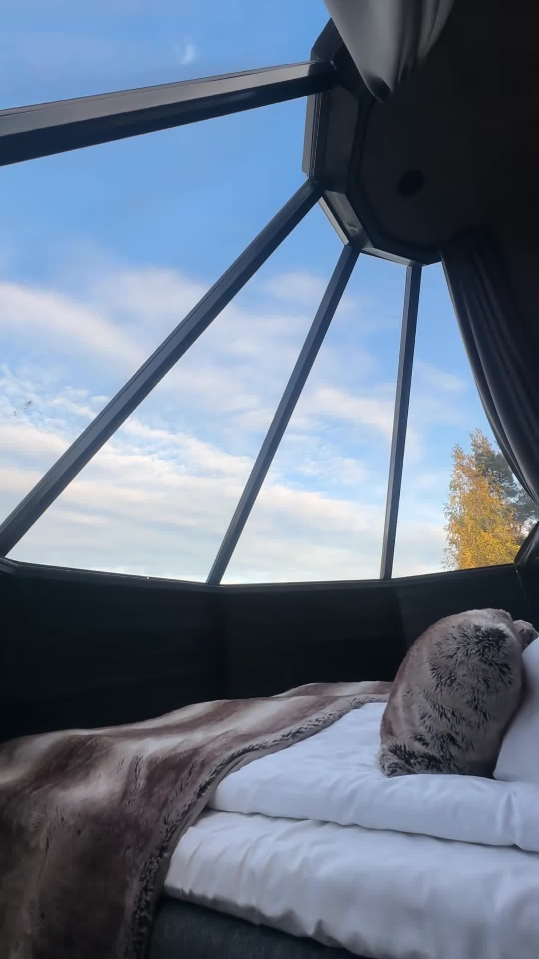 Vidéo du créateur