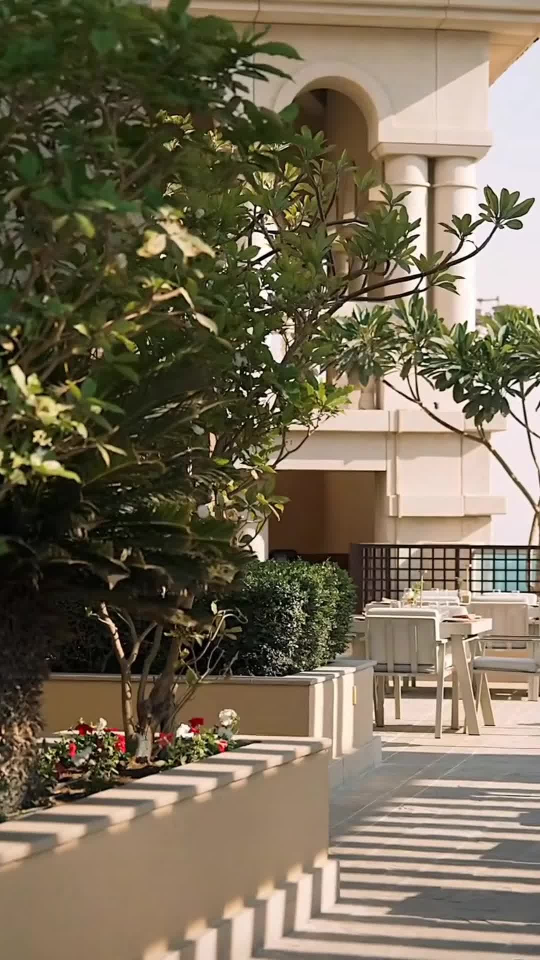 Vidéo de créateur