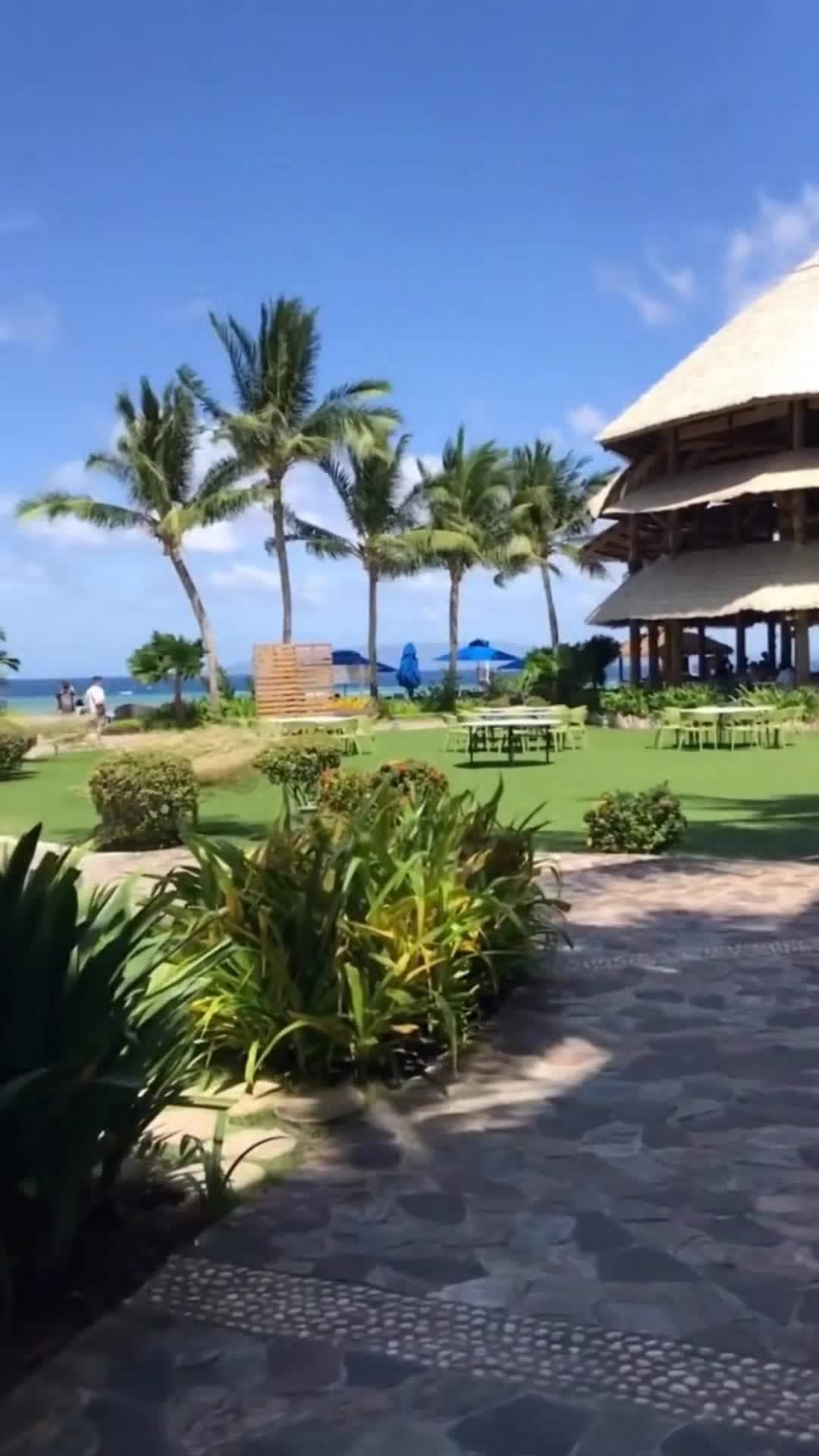 Vidéo du créateur