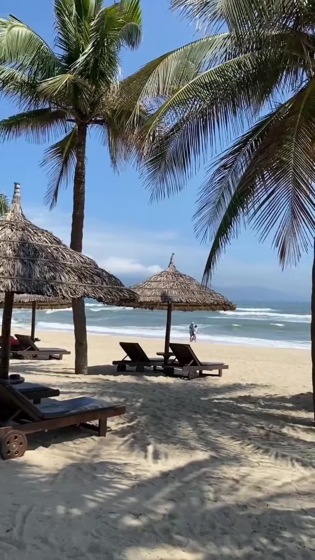 Creator video