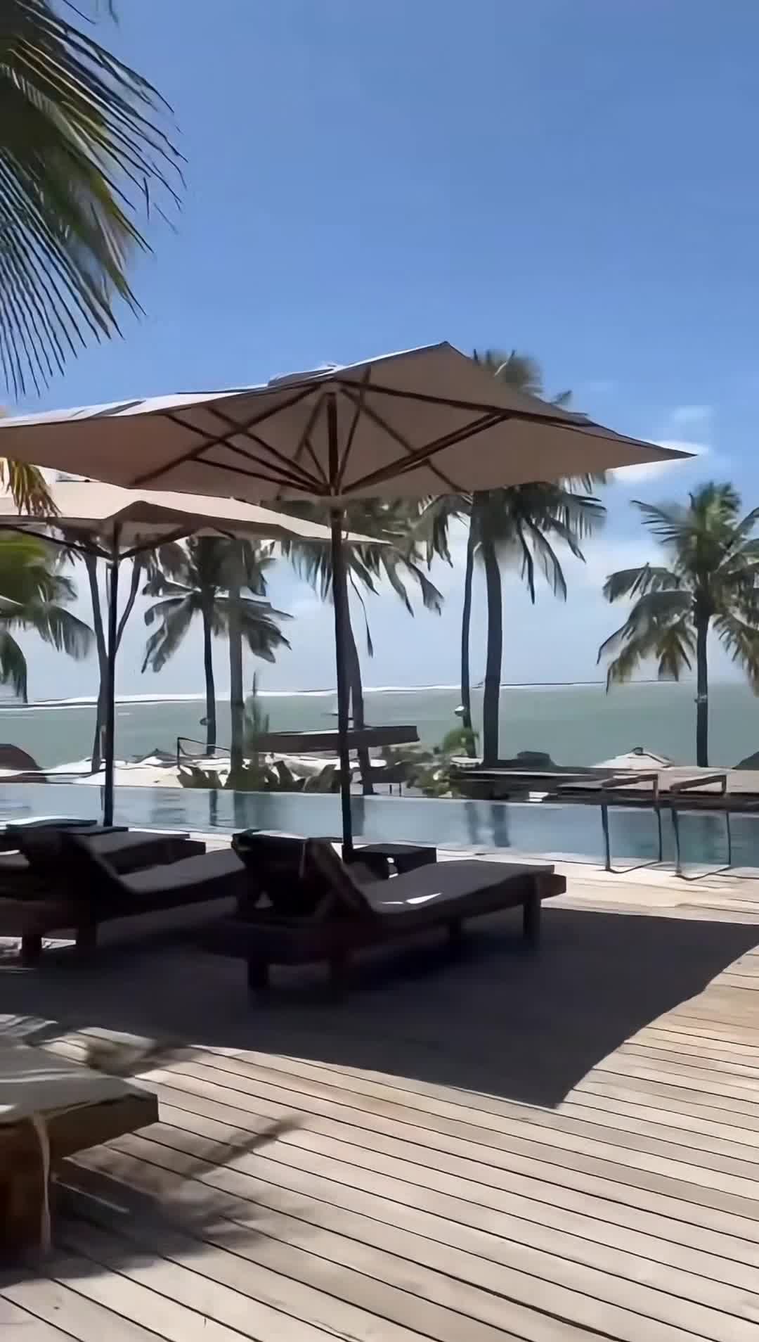 Creator video