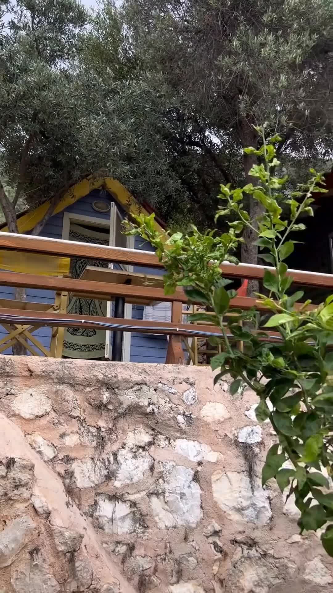 Creator video - submitted by Natalia Alphan