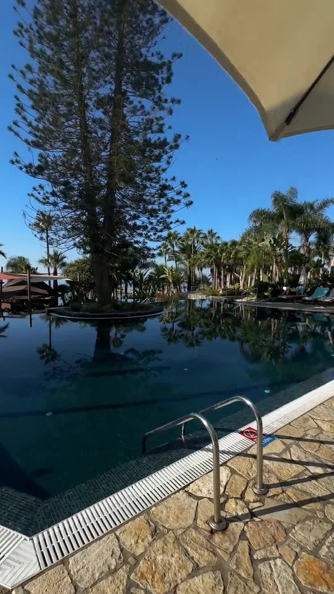 Creator video