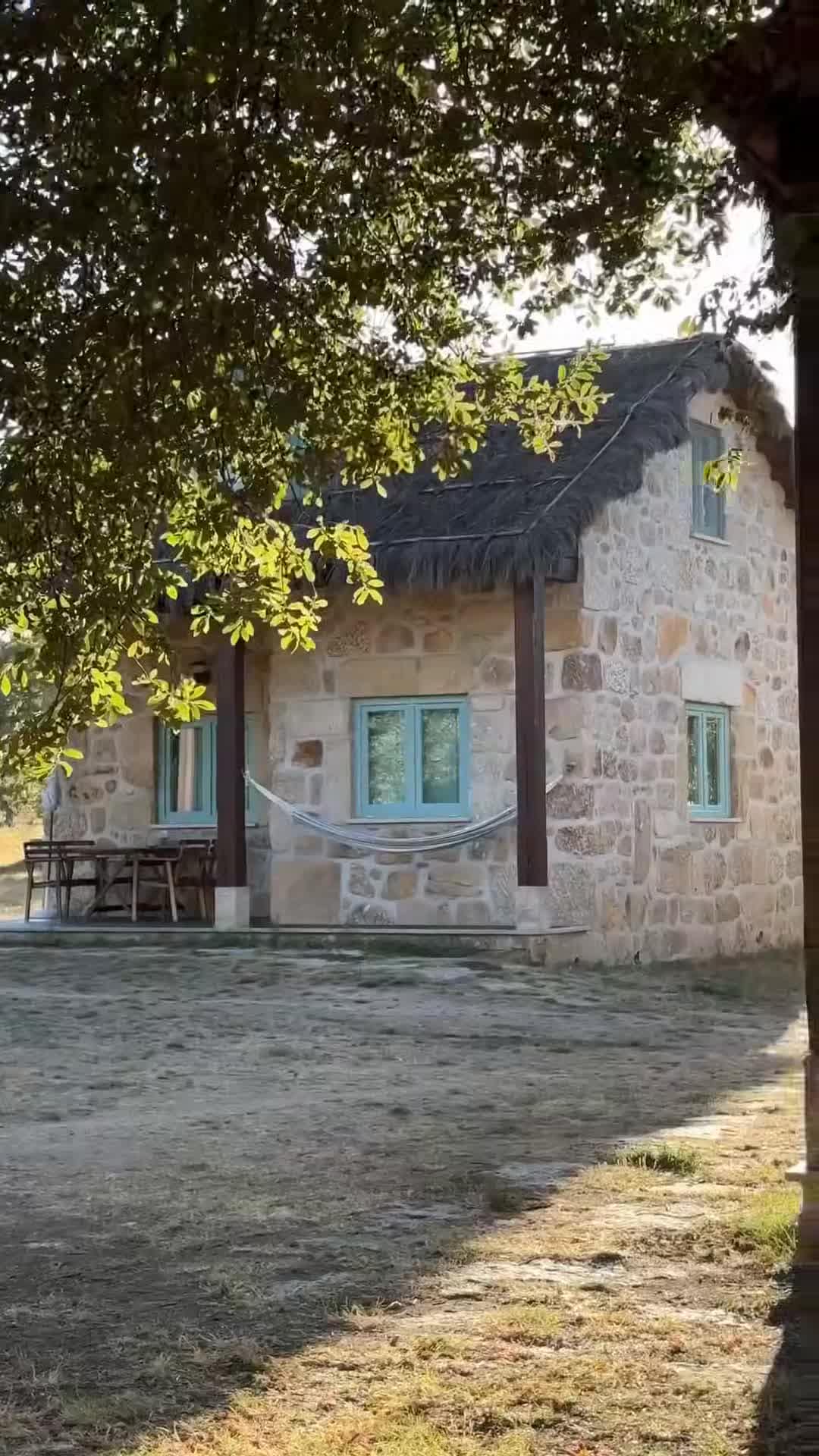 Creator video