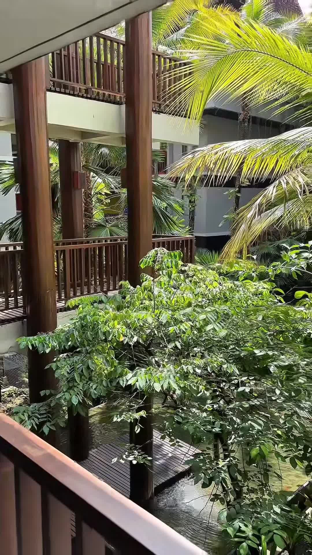Vídeo hecho por un creador