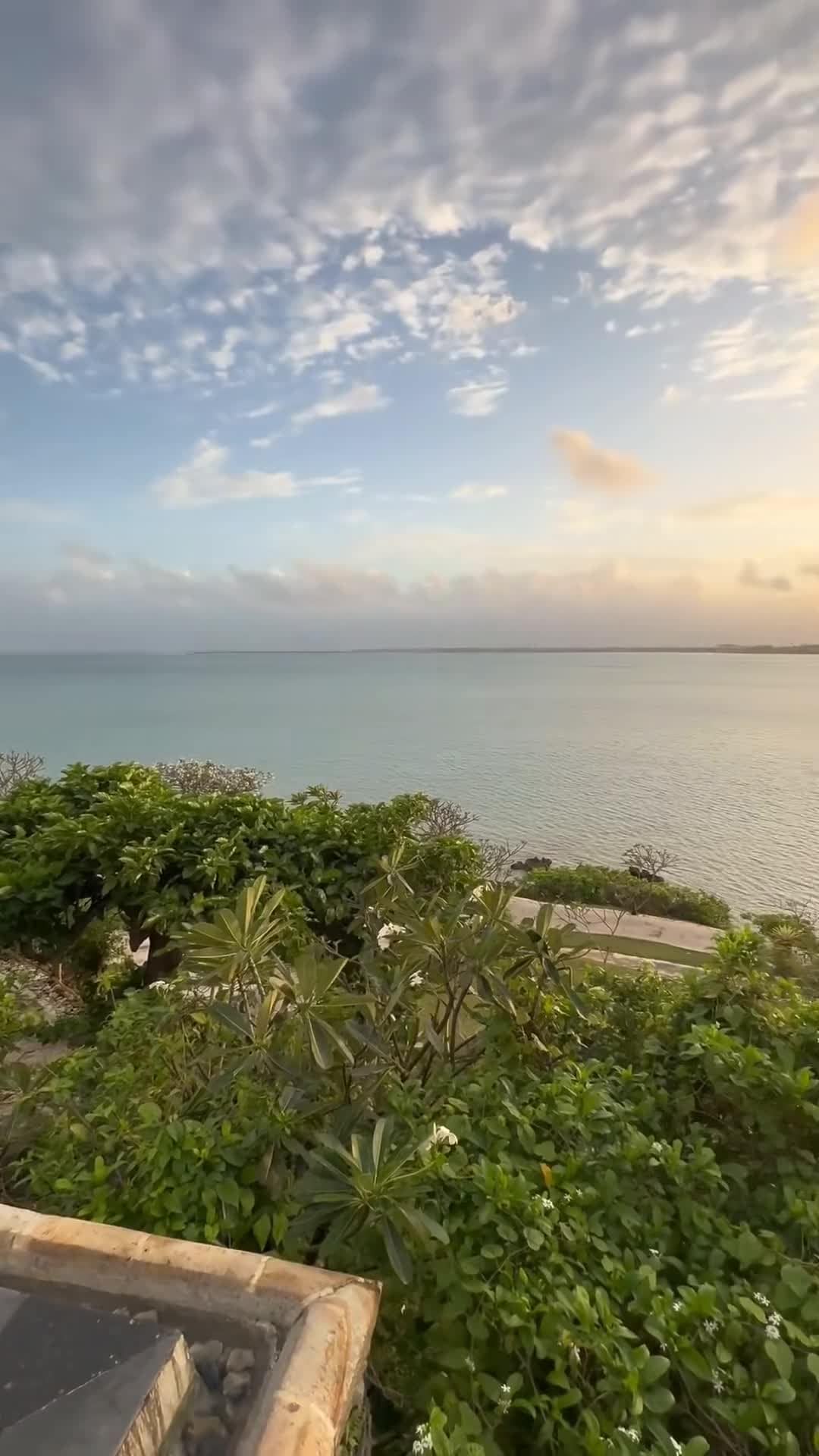 Creator video