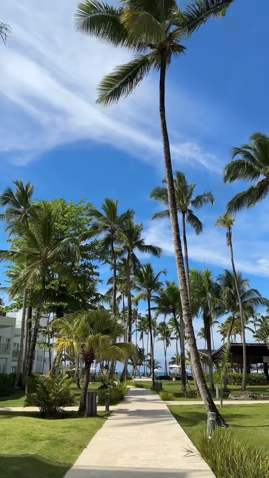 Video của nhà sáng tạo
