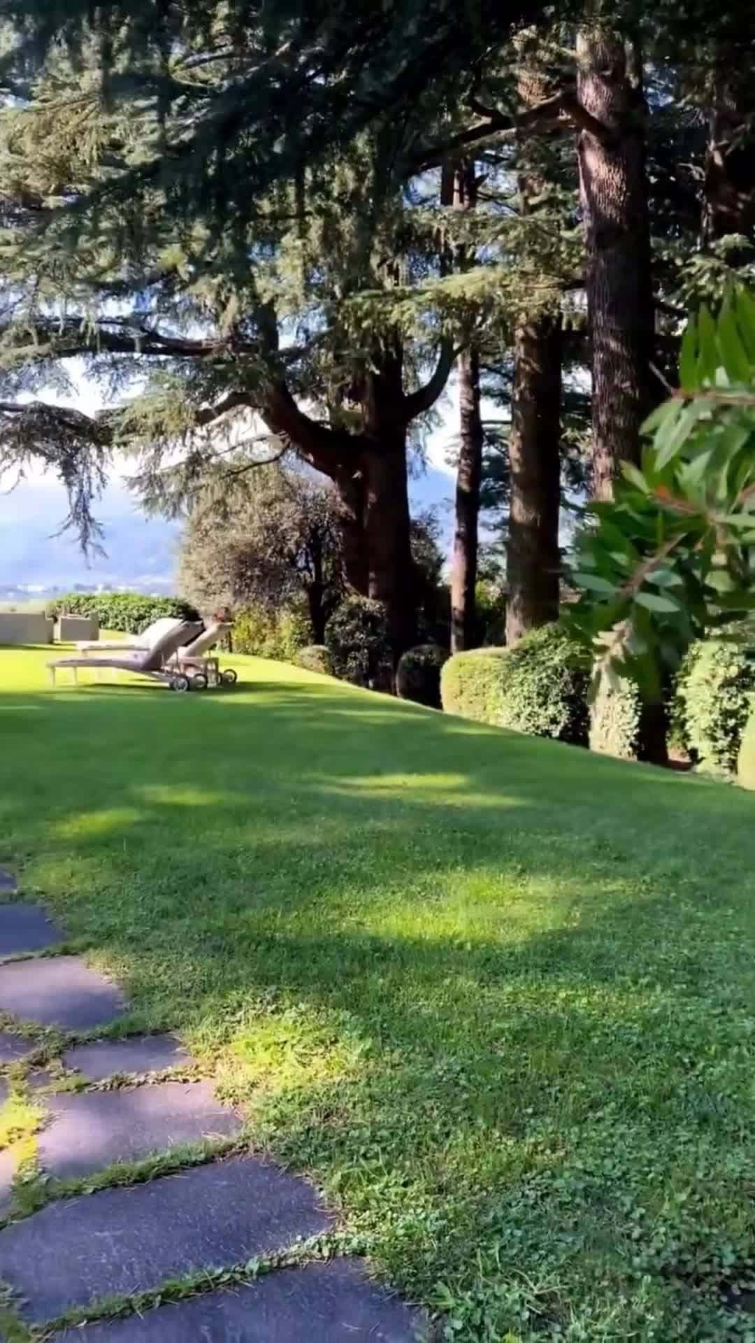 Creator video