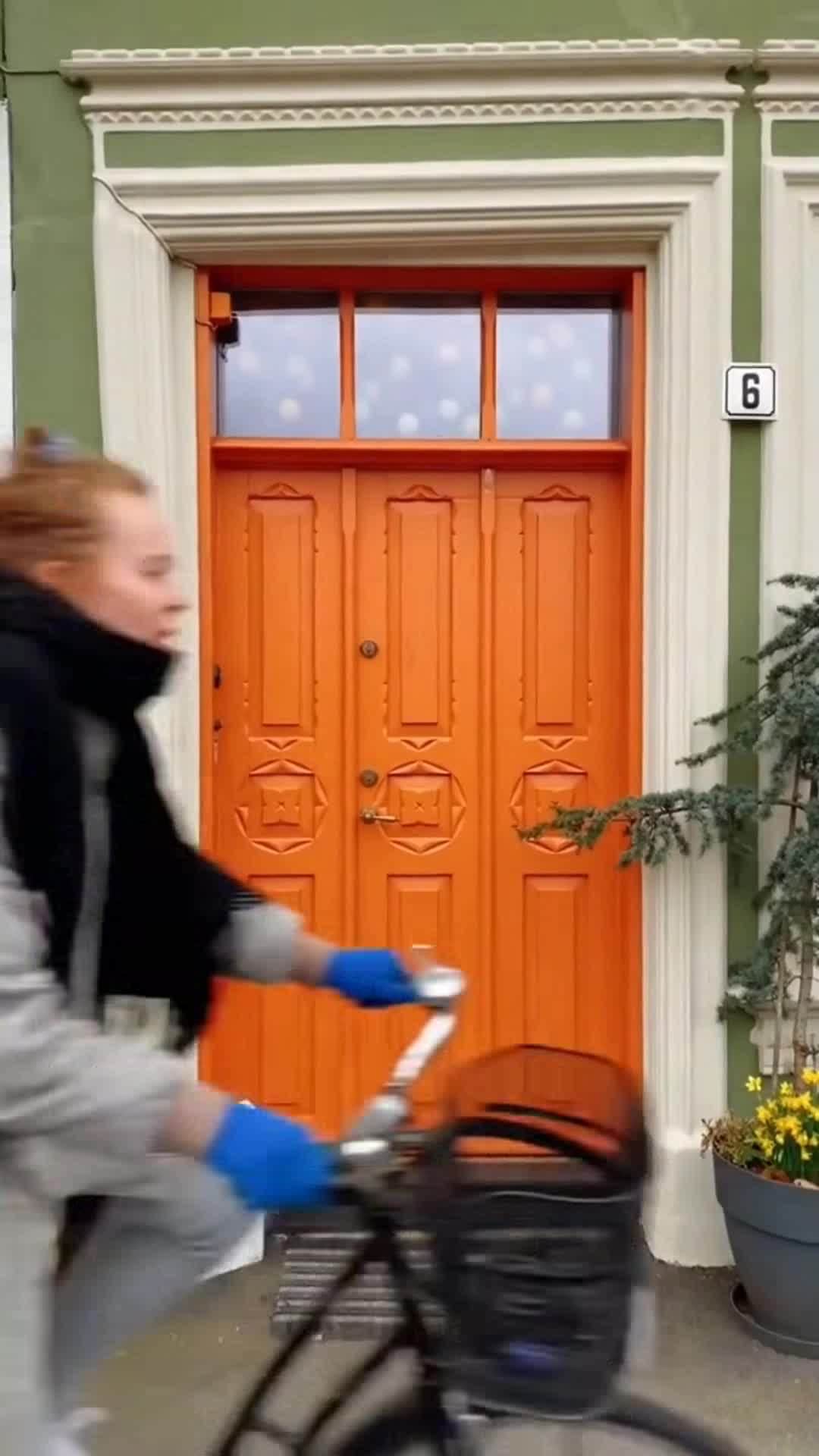 Creator video - submitted by Camelia Bonteanu