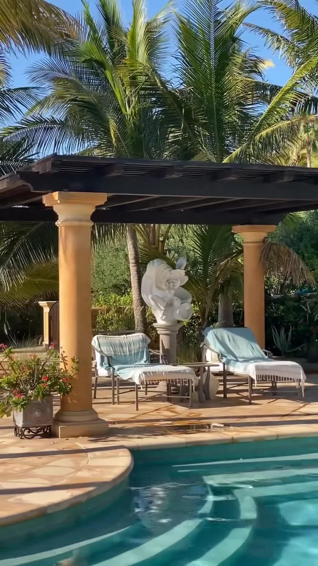 Creator video