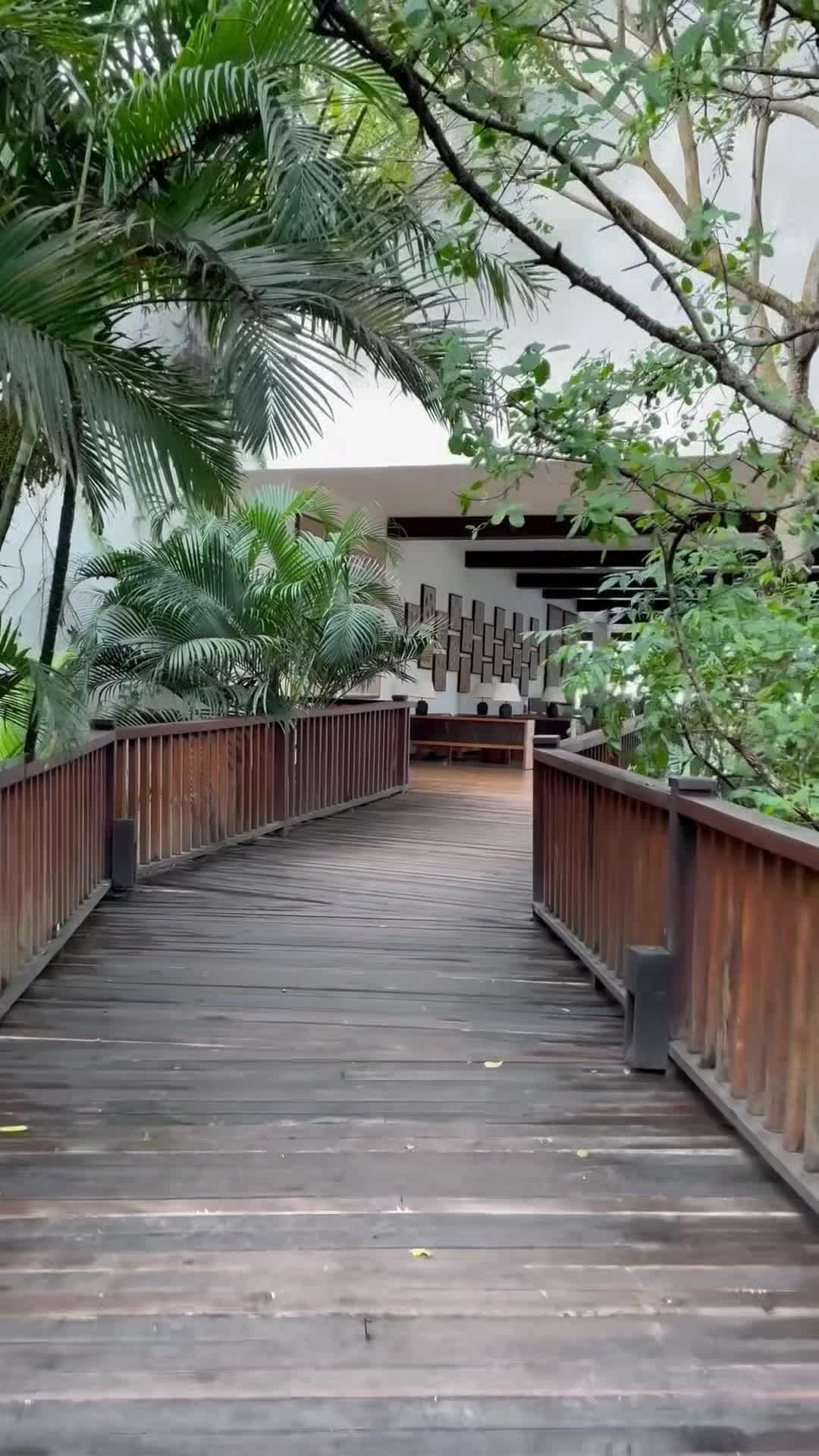 Creator video