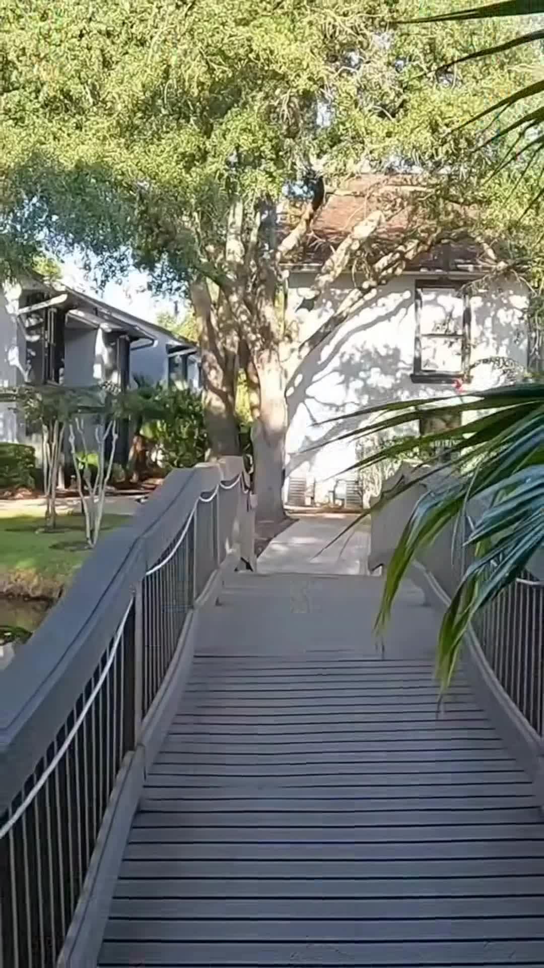 Vídeo hecho por un creador