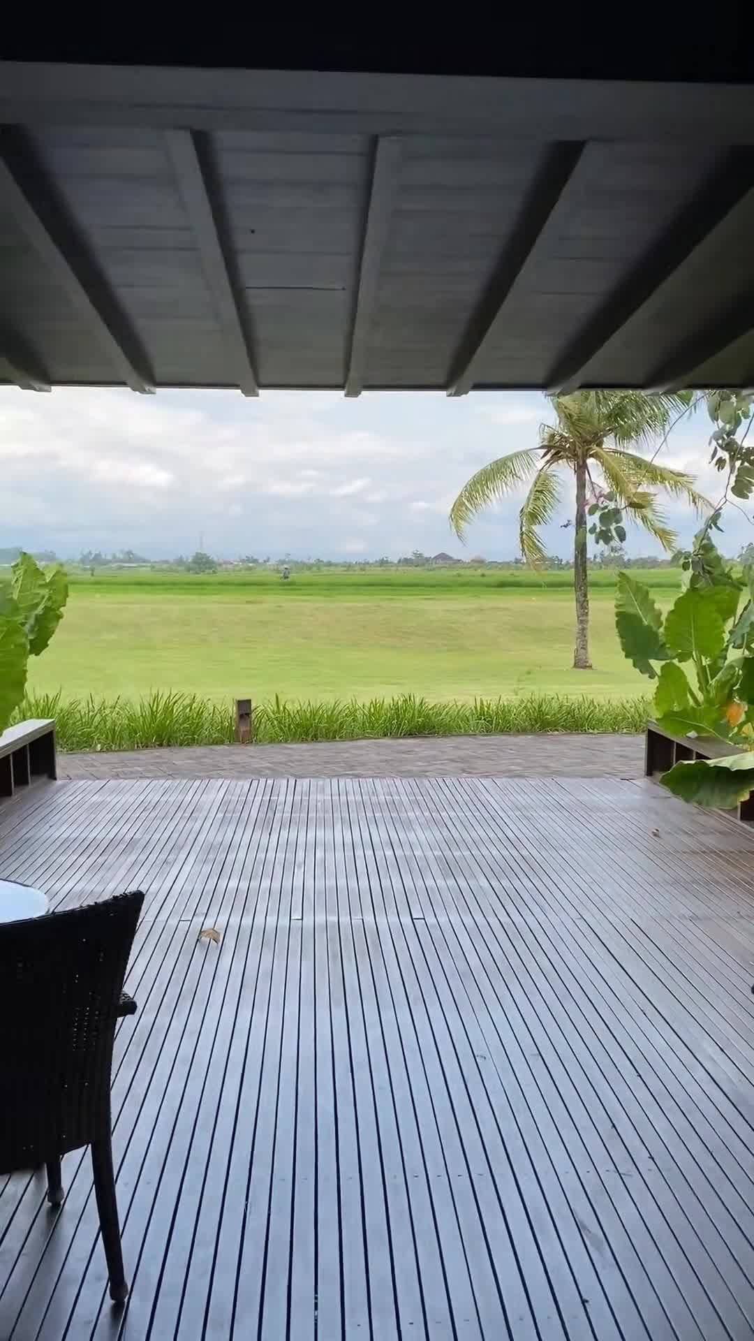 Creator video