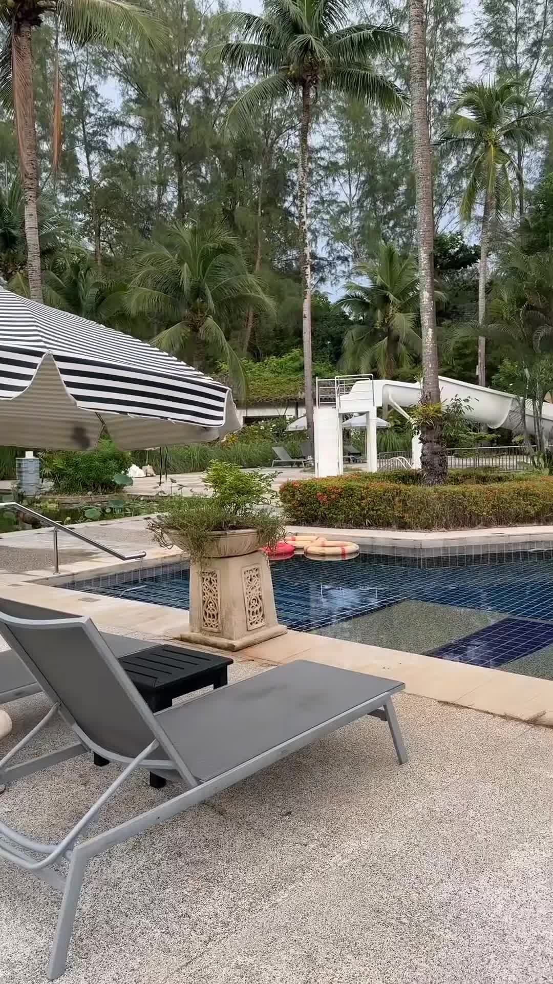 Video của nhà sáng tạo