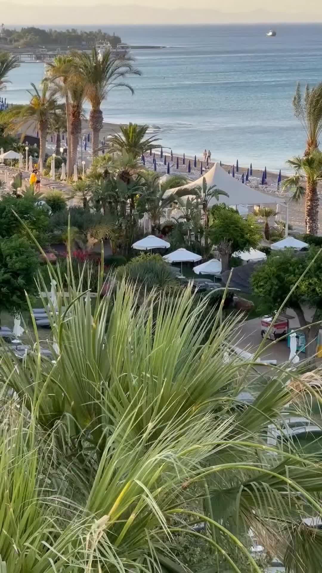 فيديو صانعي المحتوى