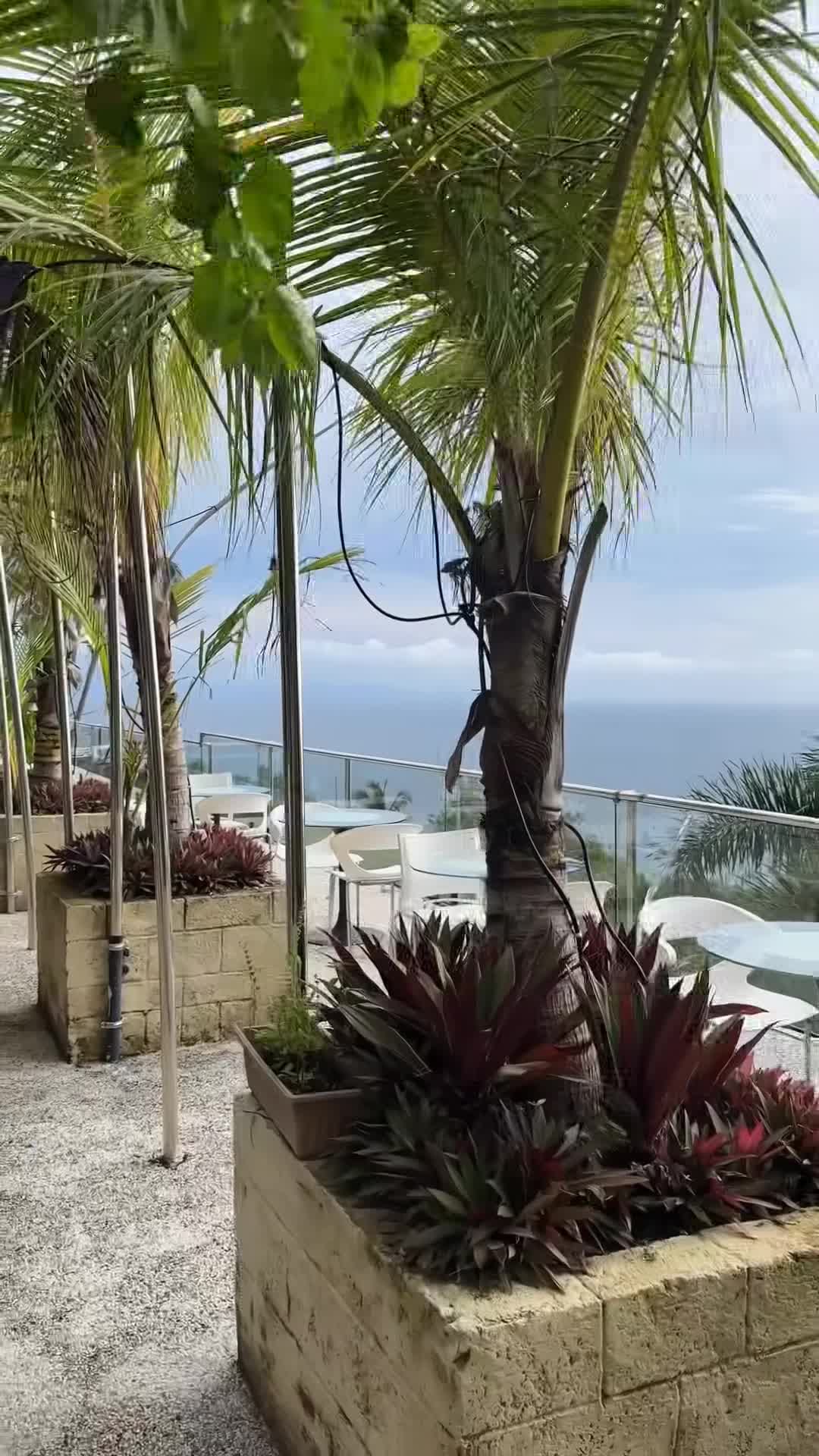 Creator video