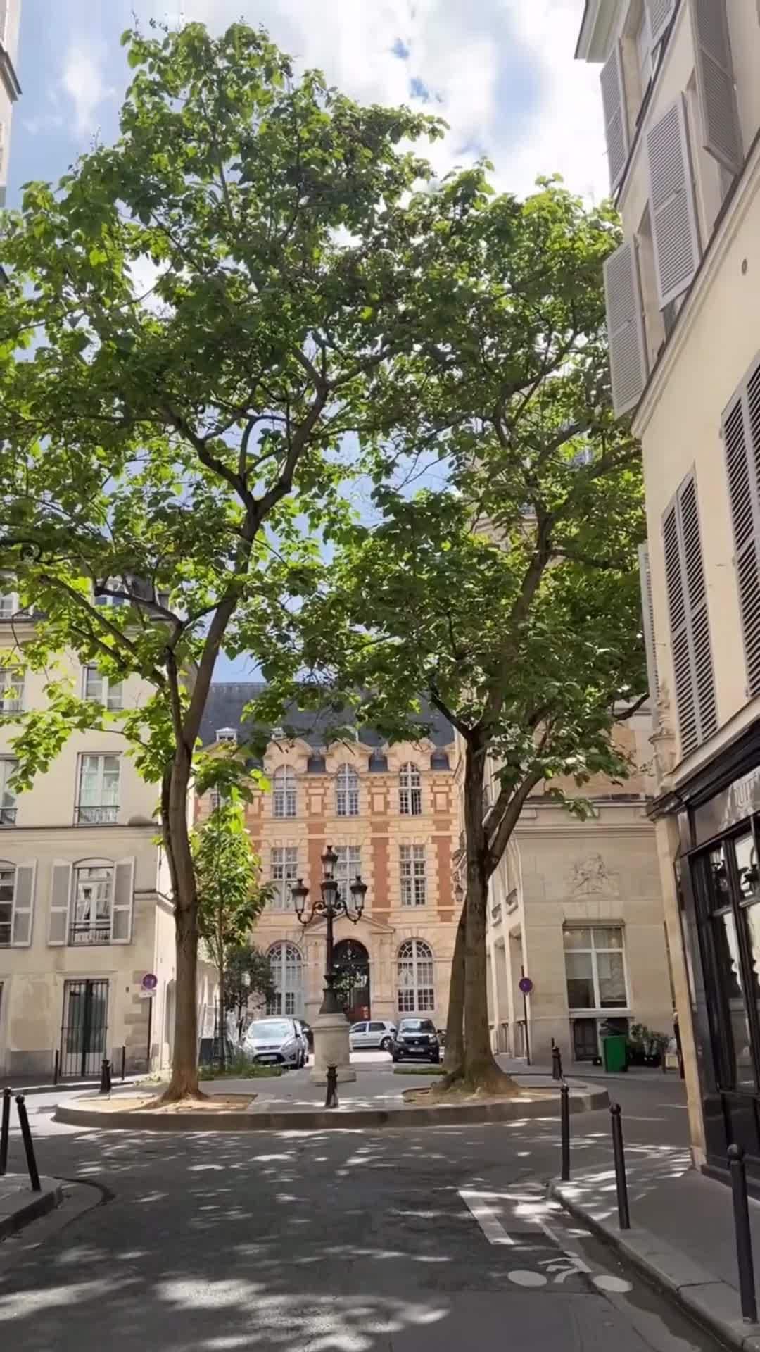 Influencer-Video