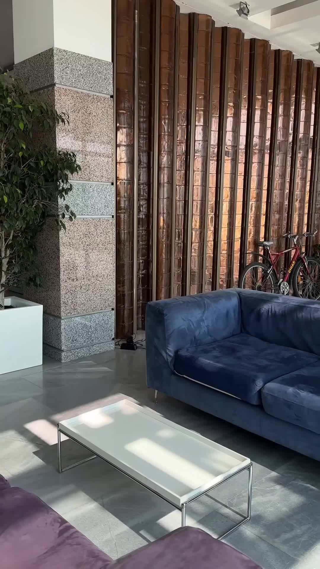 Video realizado por un influencer
