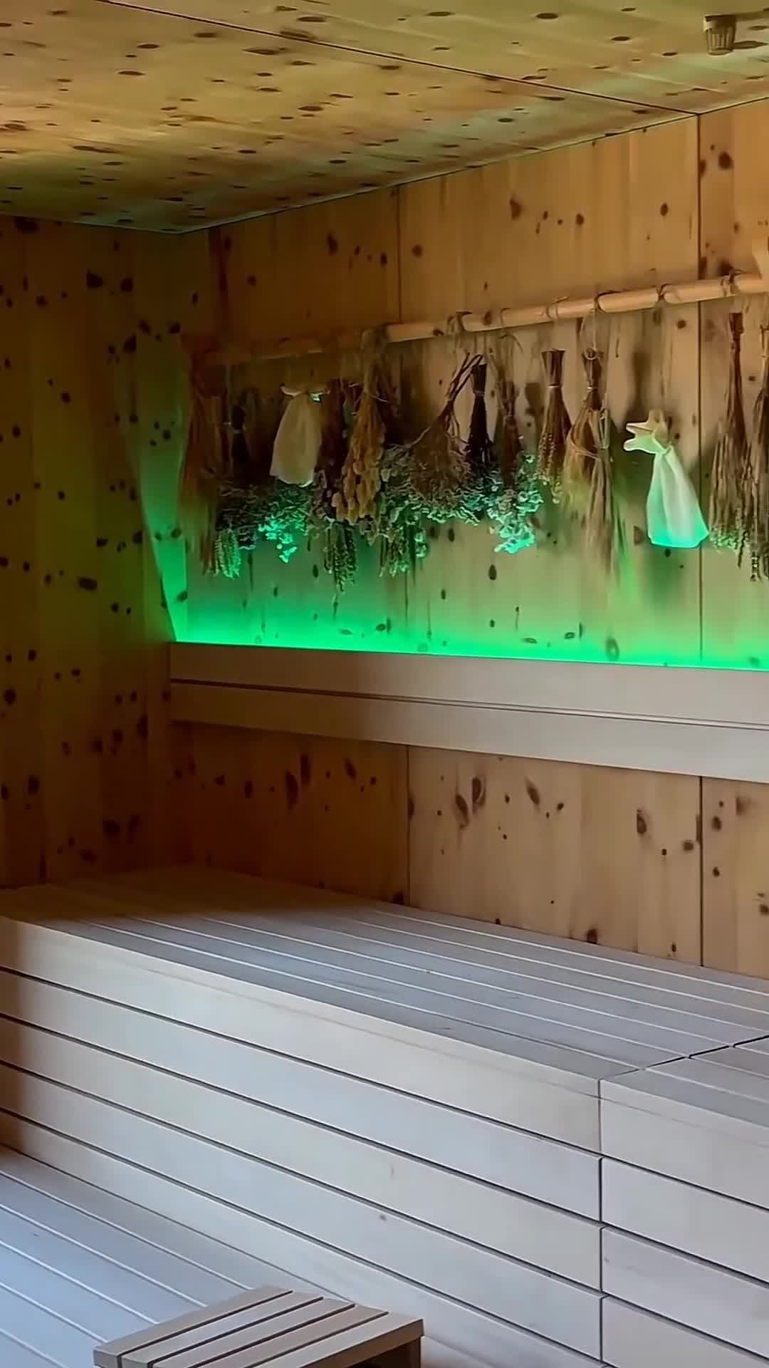 创作者视频