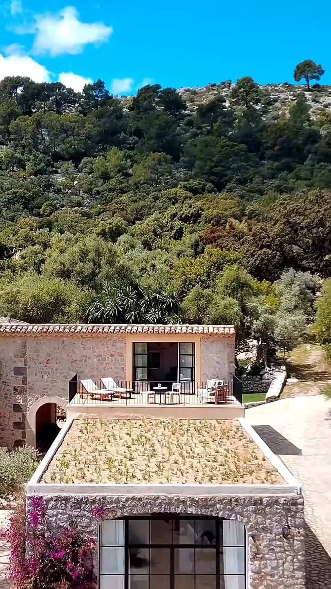 Creator video