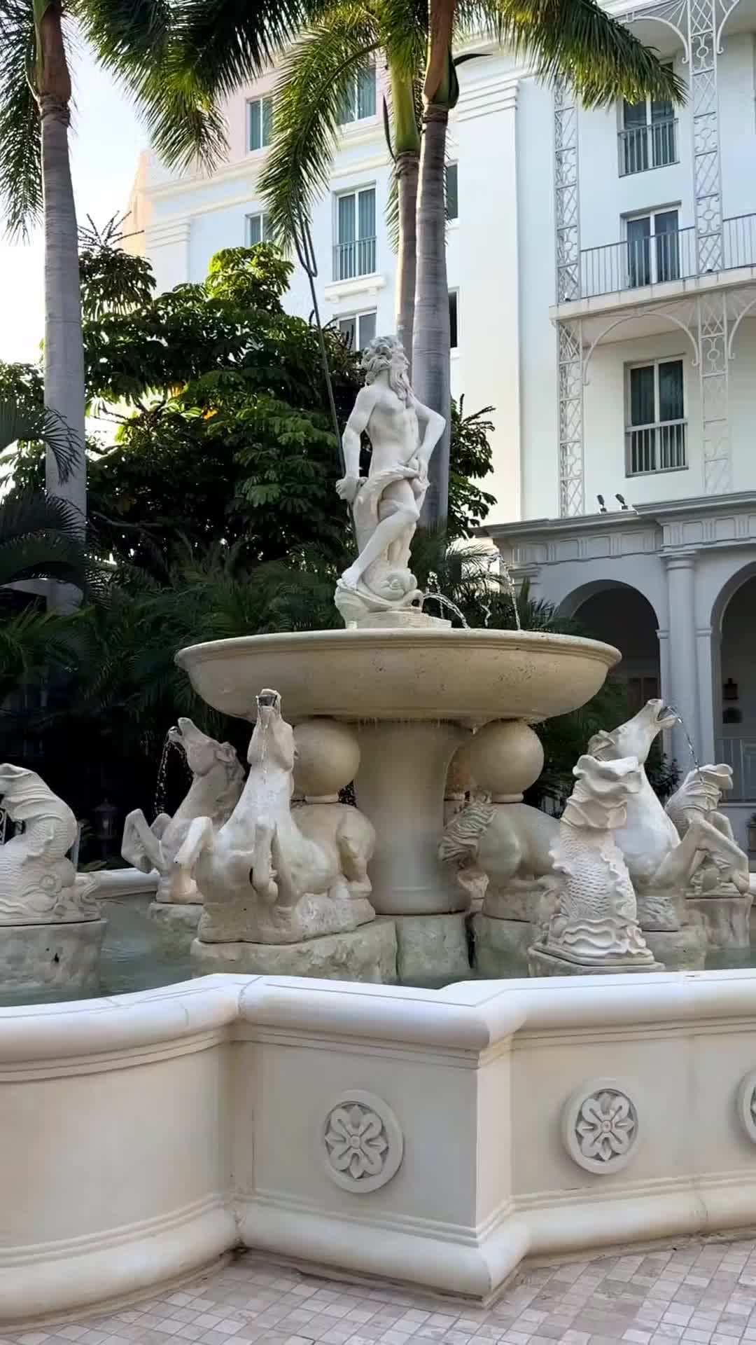 Creator video - submitted by Svetlana Damiani