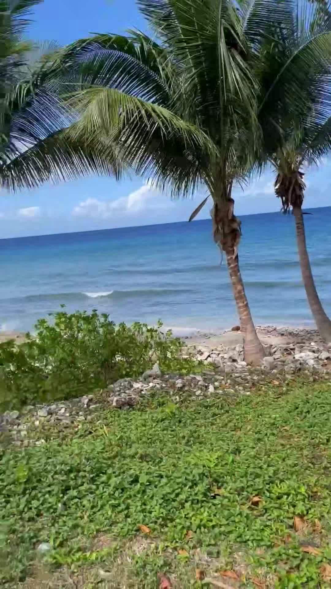 Creator video