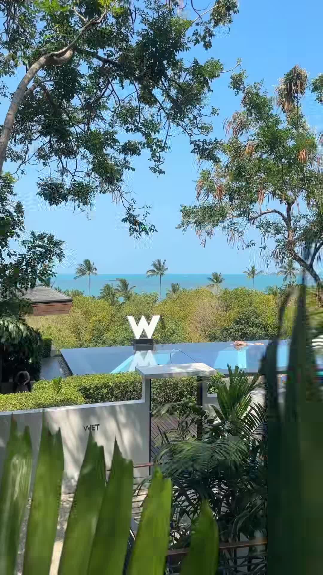 Creator video