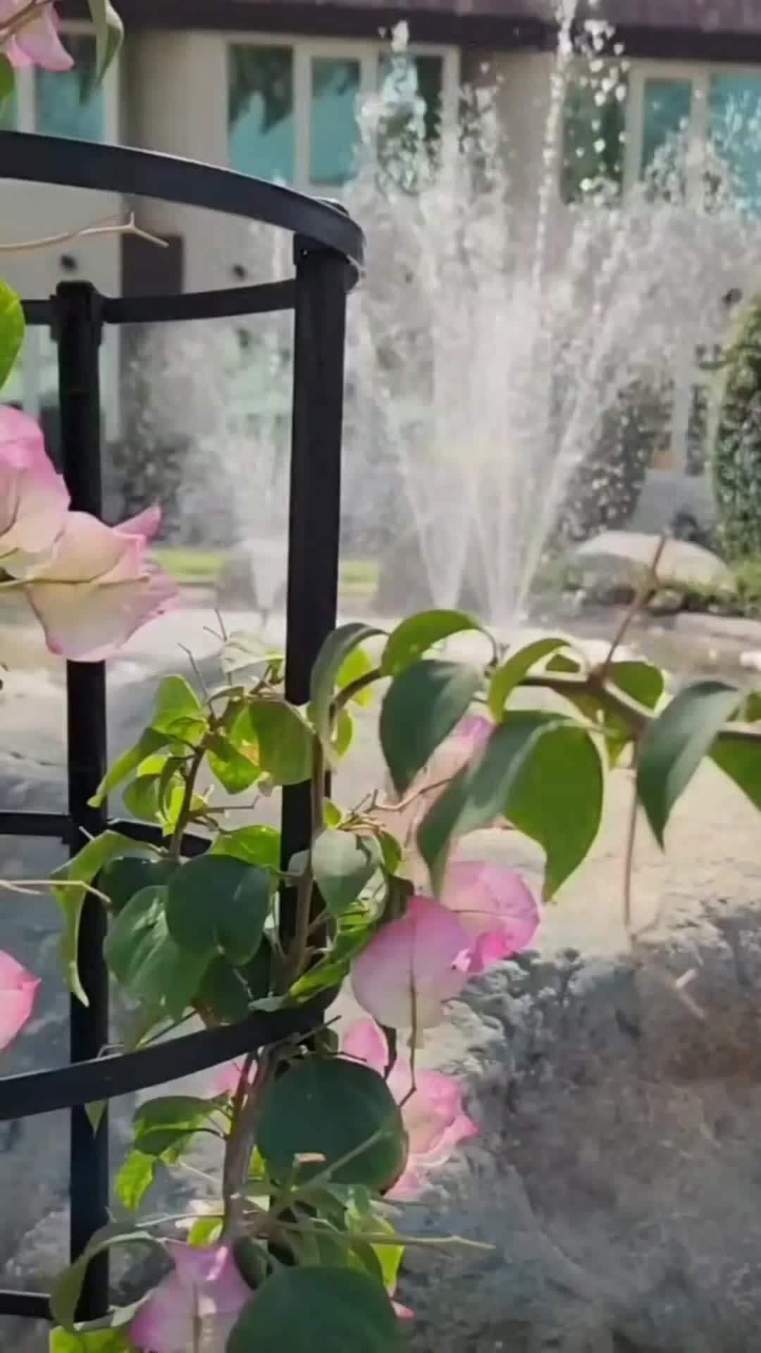 Creator video