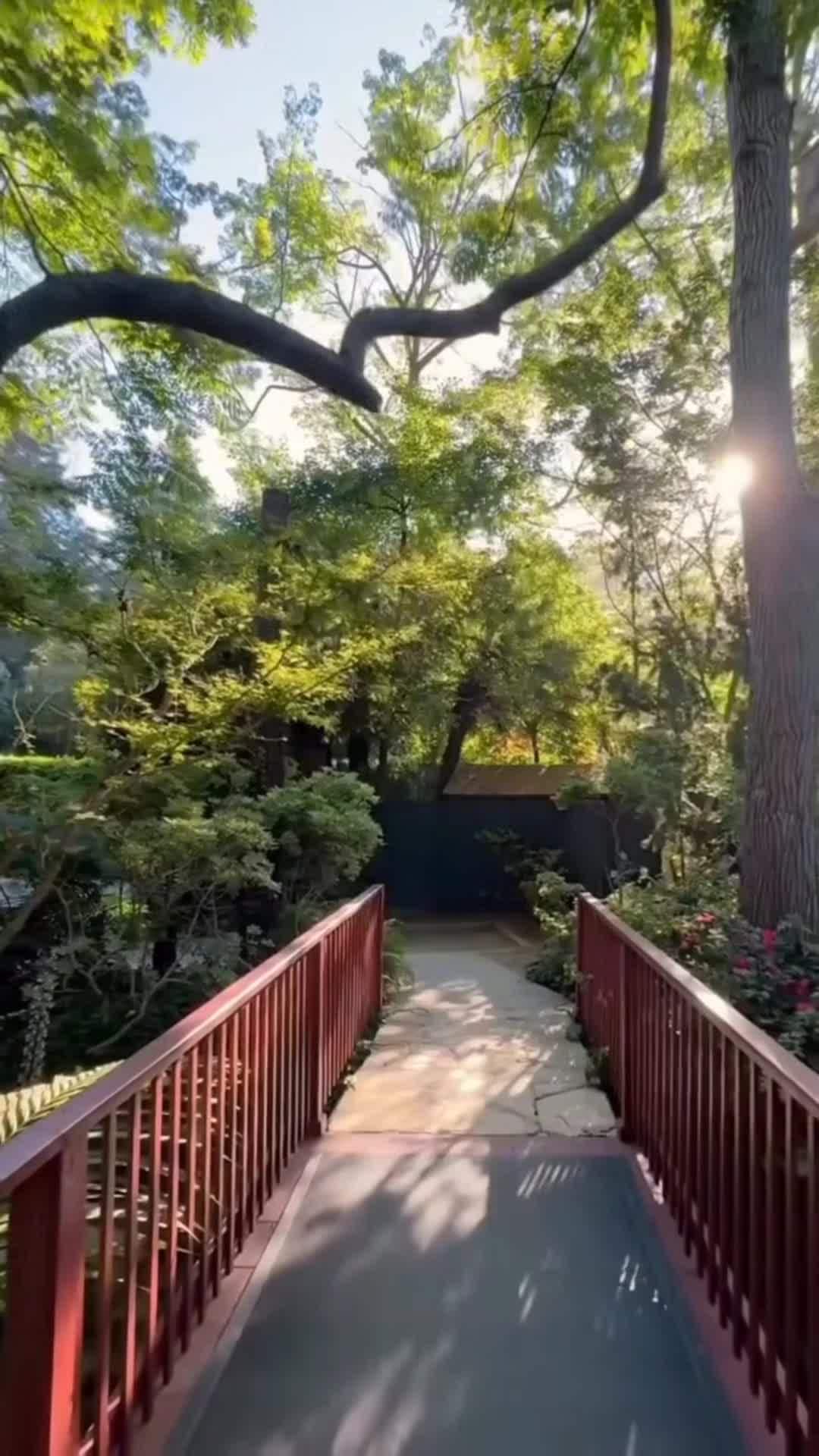 Creator video