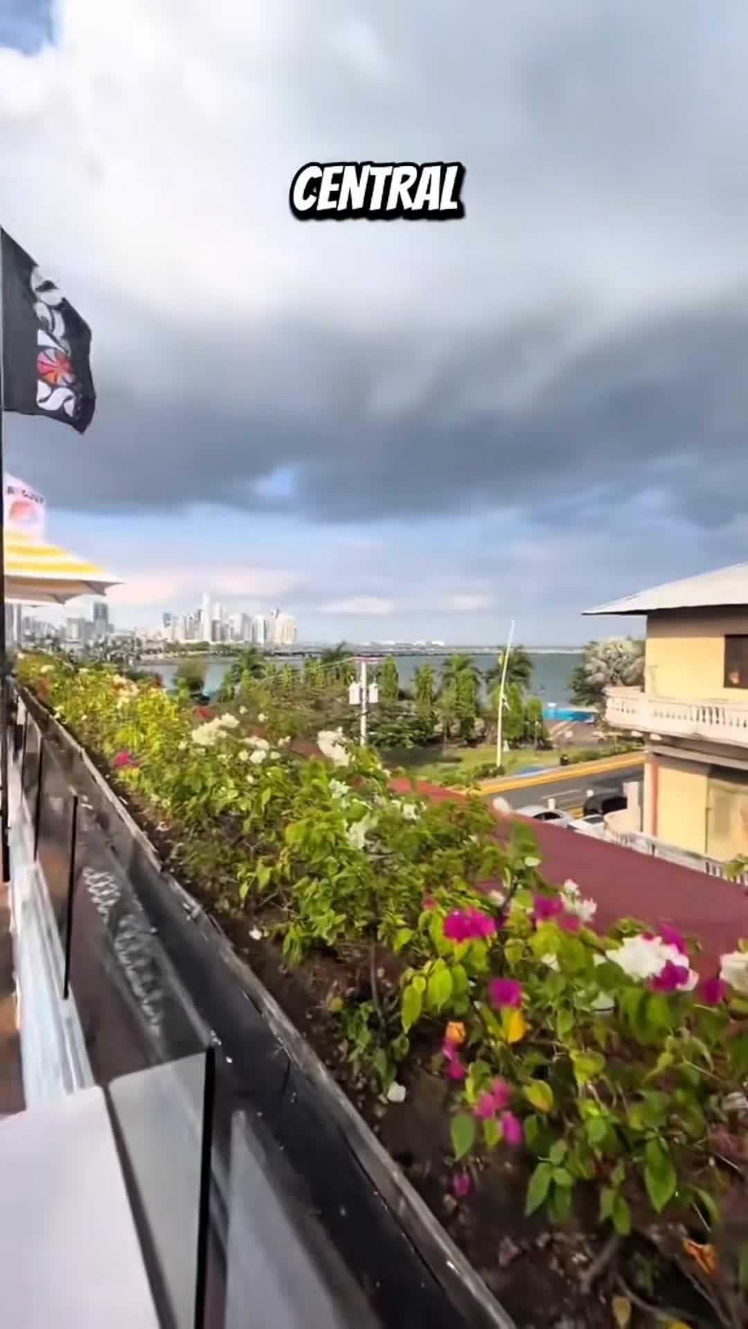 Creator video