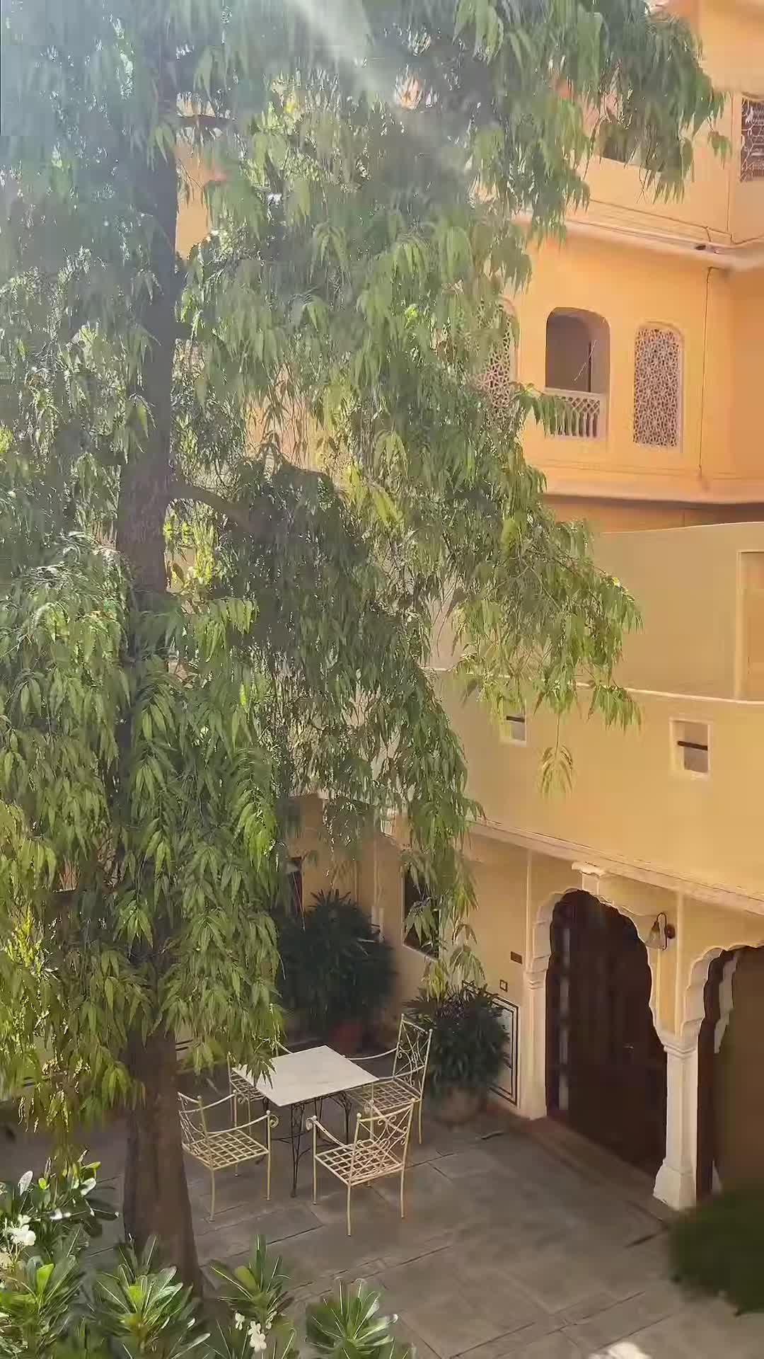 Vidéo du créateur
