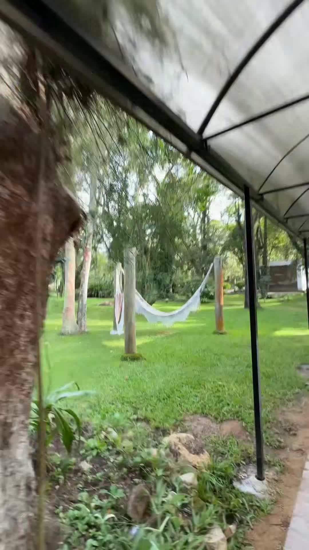 Creator video