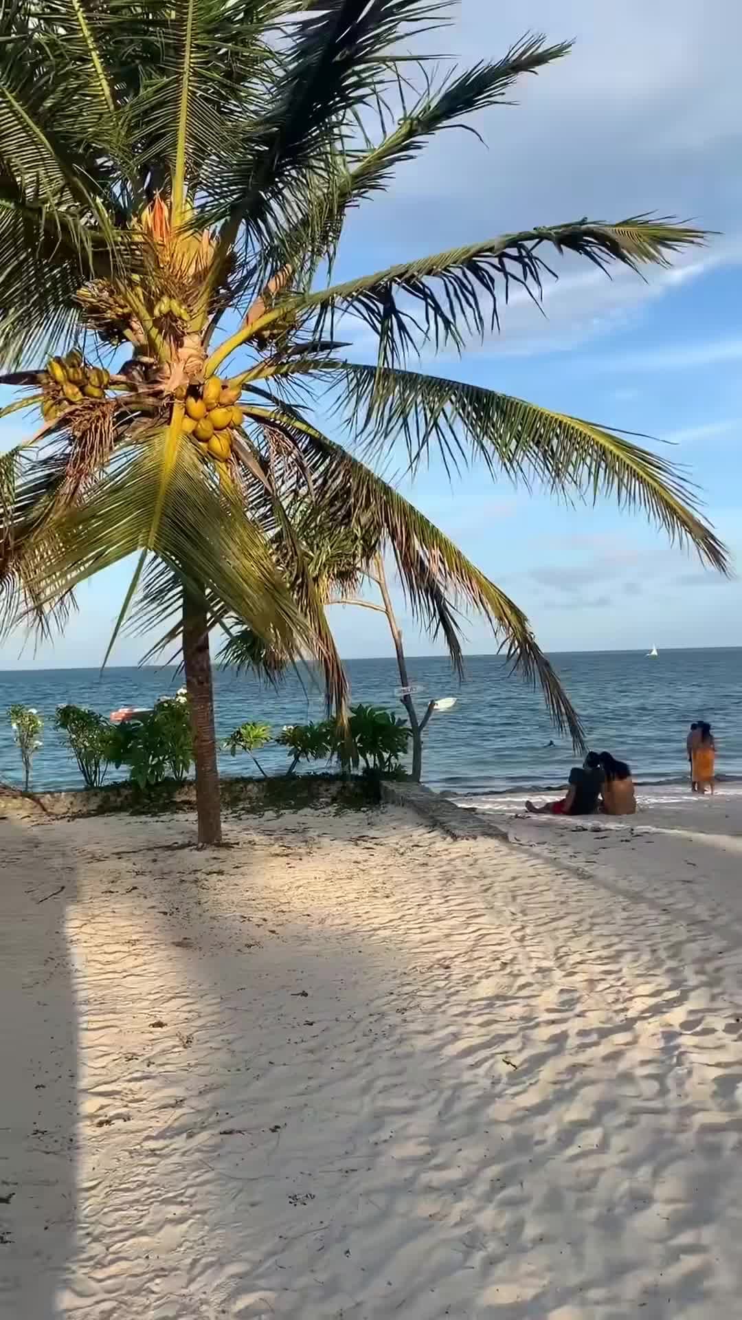 Creator video