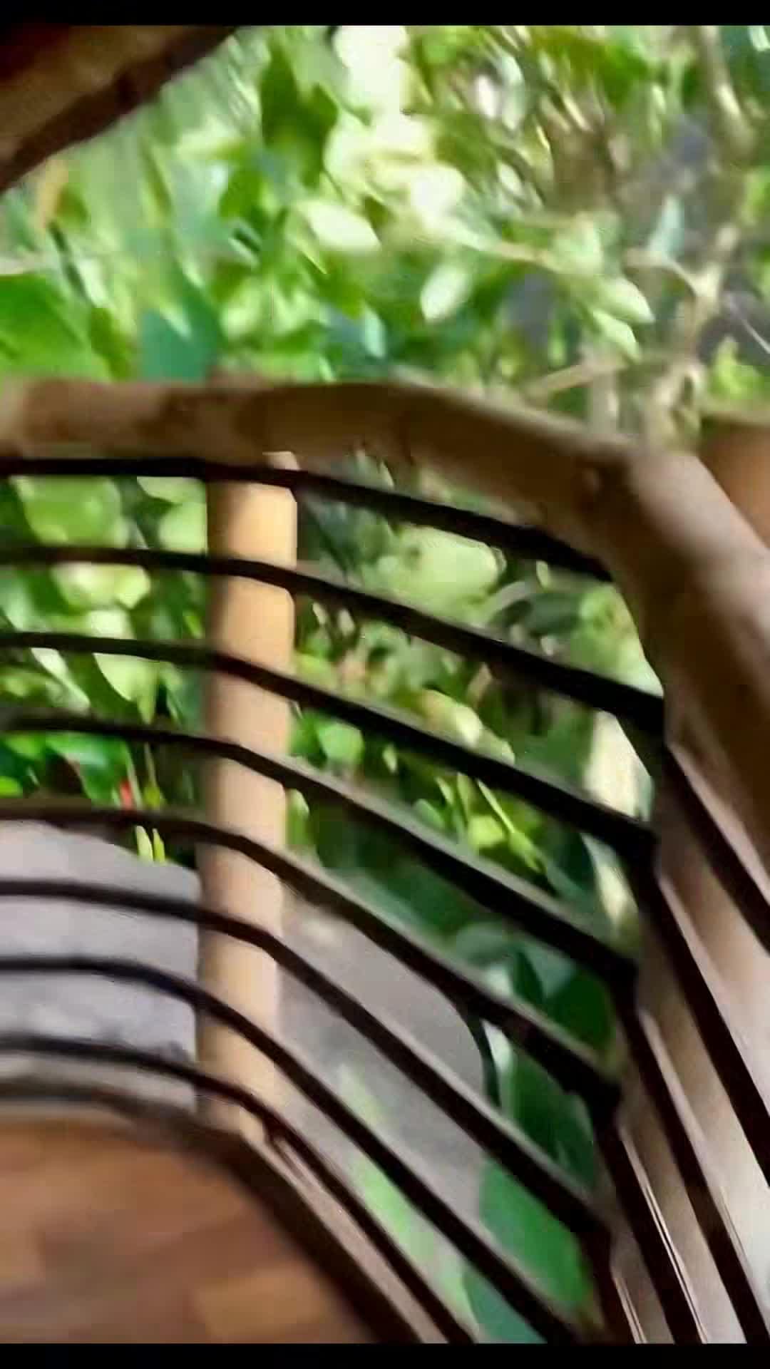 Video influencer