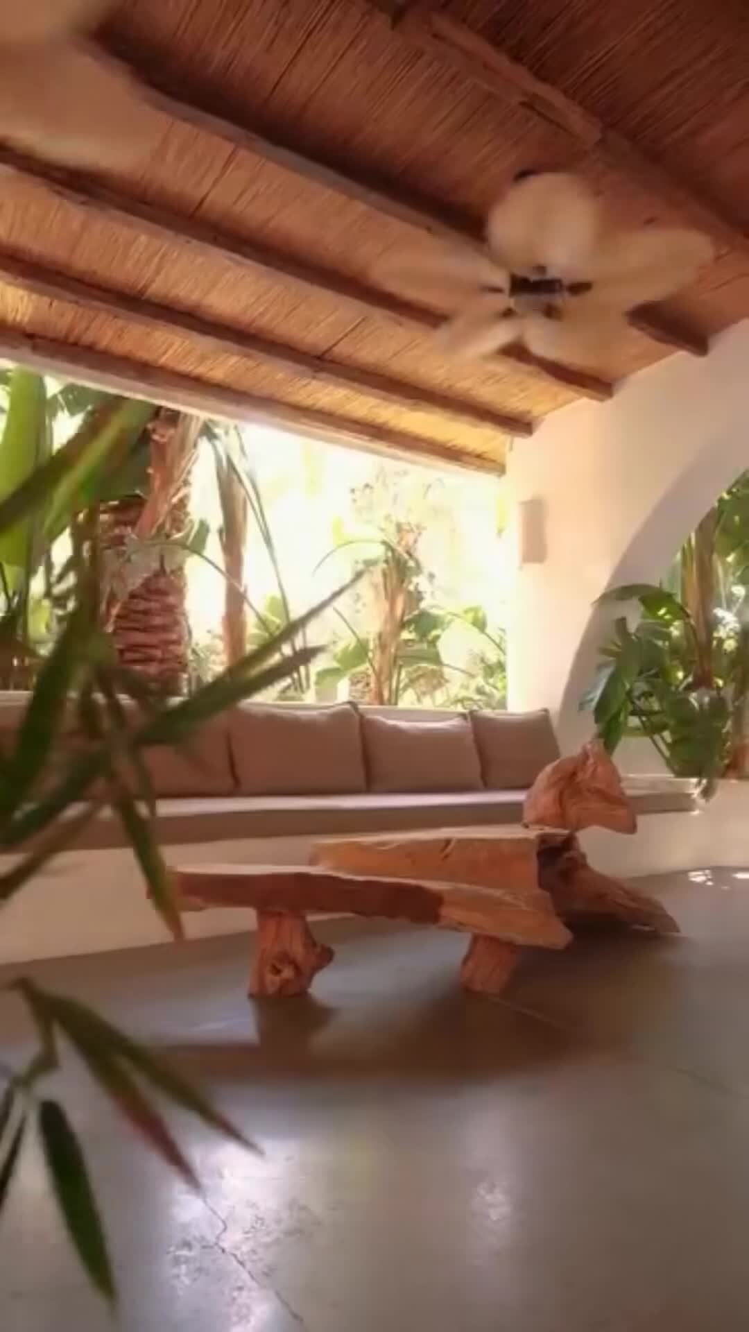 Creator video