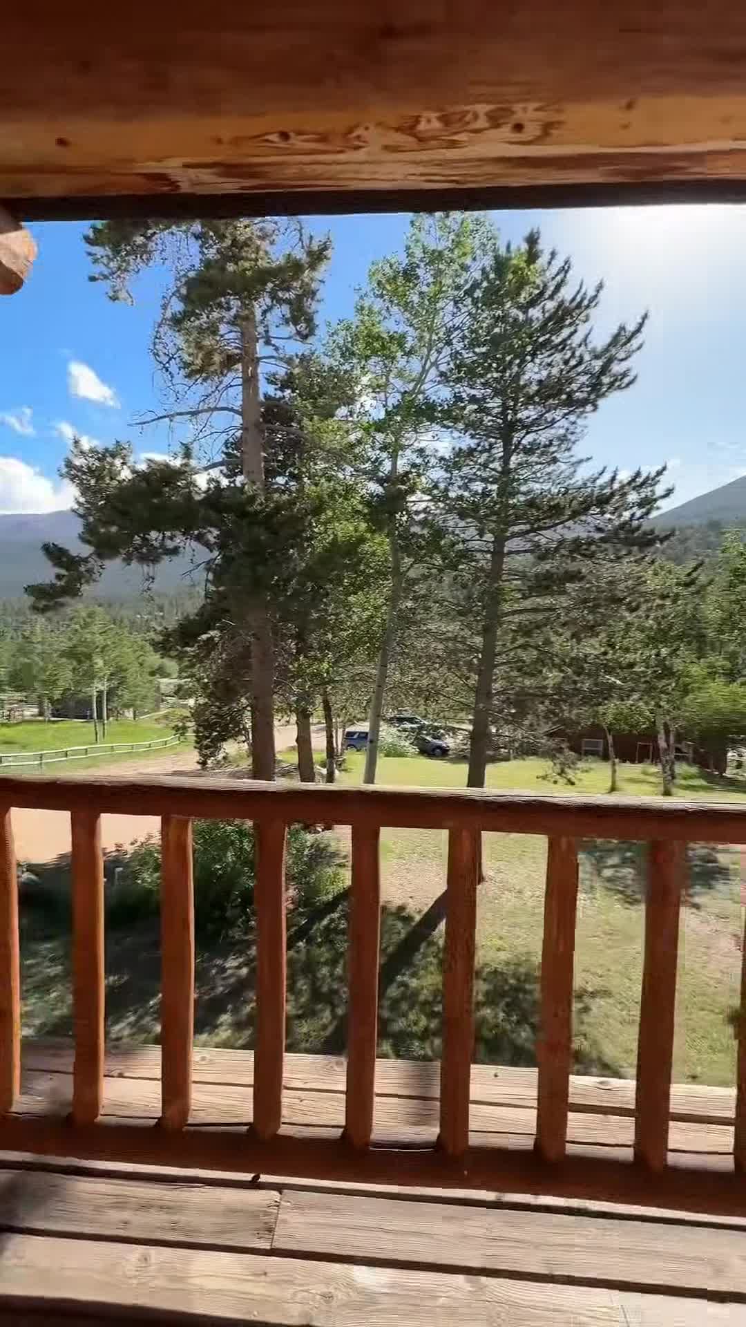 Creator video