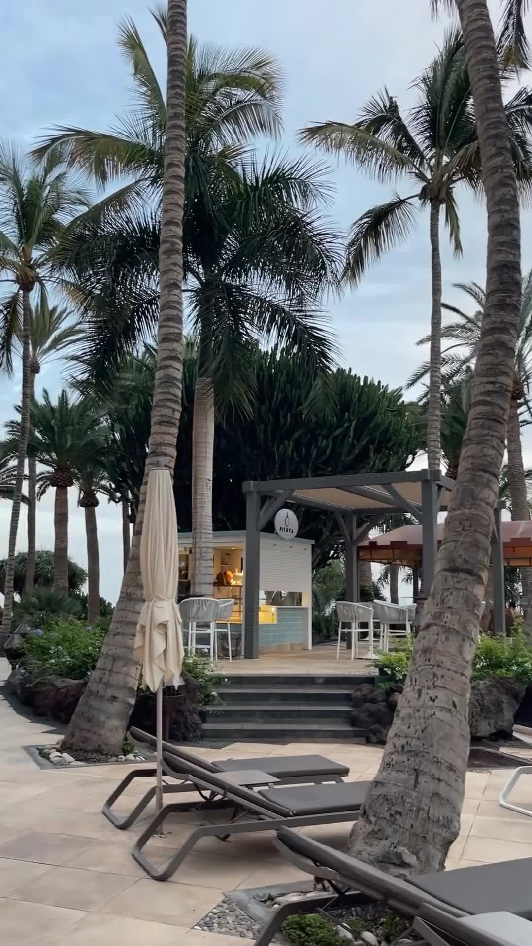 Influencer-Video
