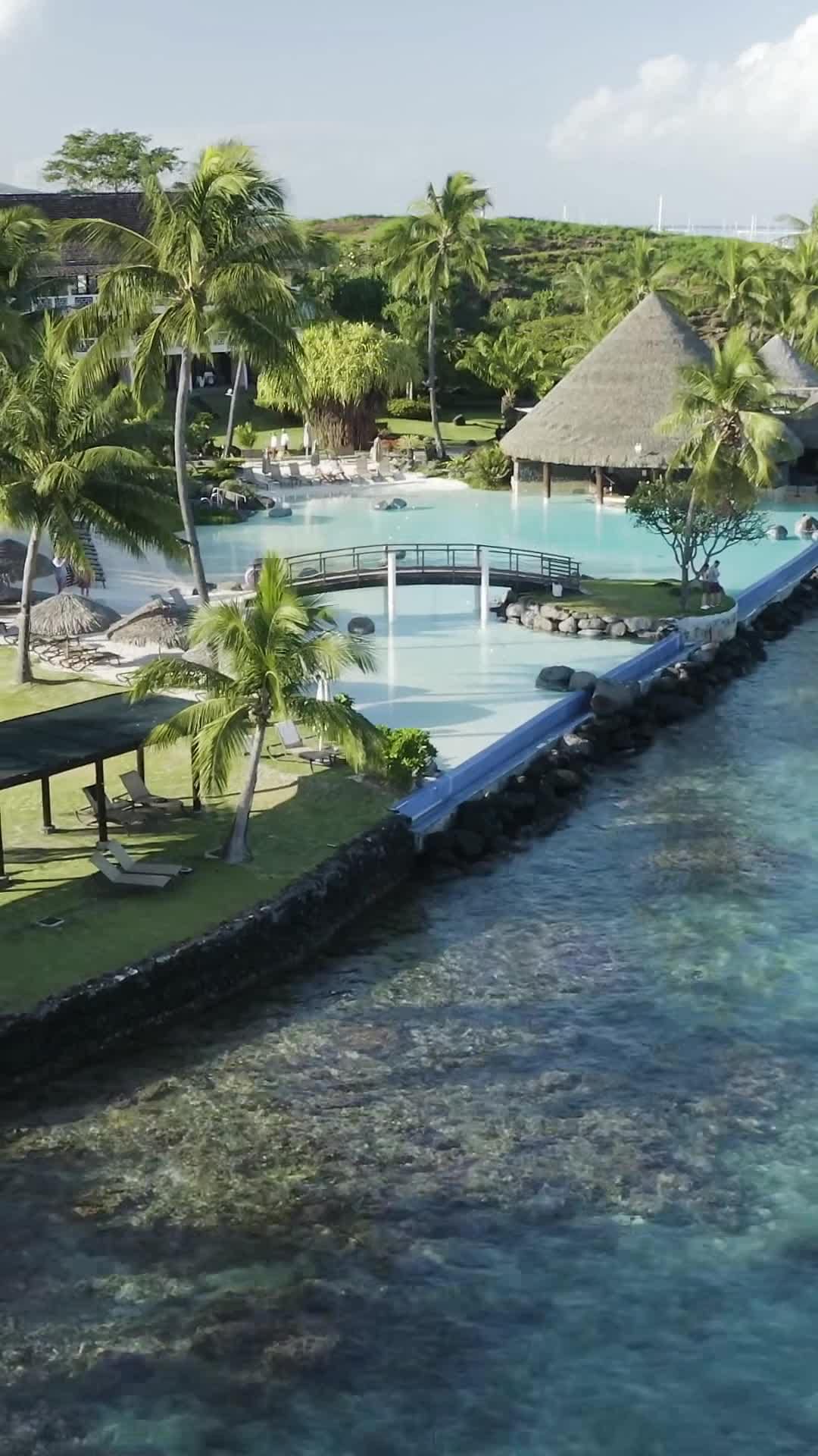 Vidéo de créateur
