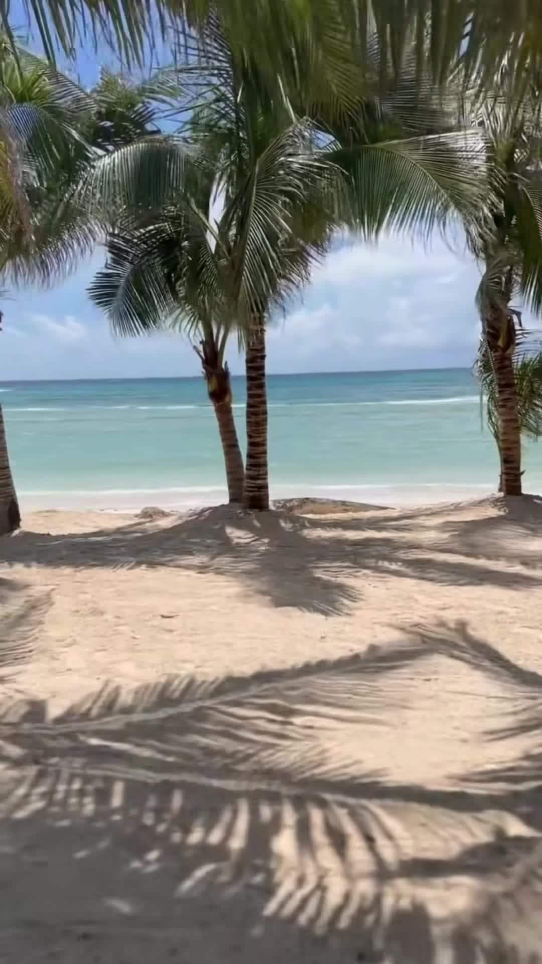 Creator video