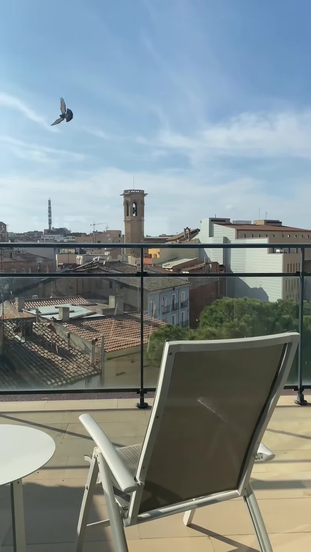 Vidéo de créateur