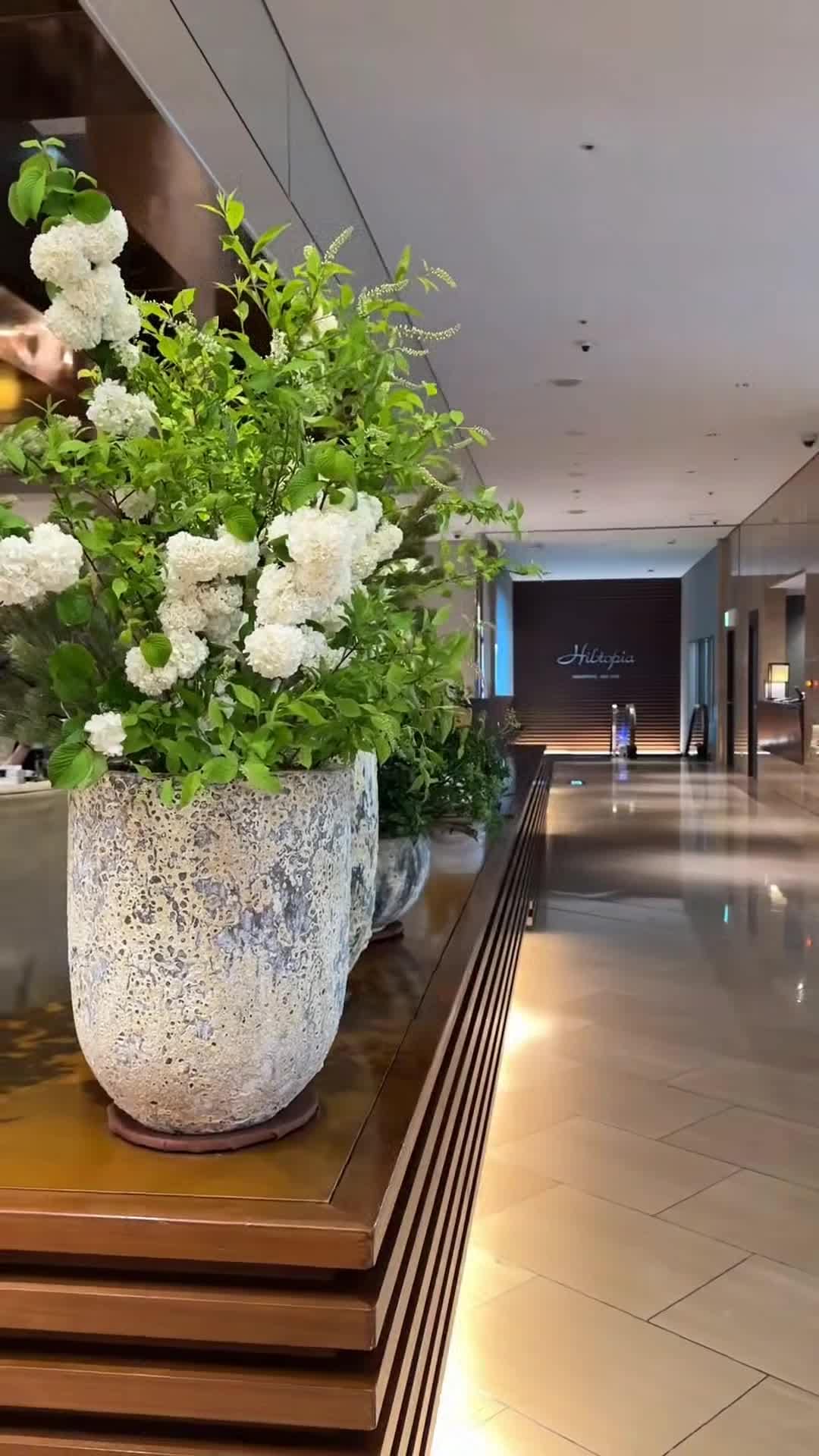 Influencer-Video
