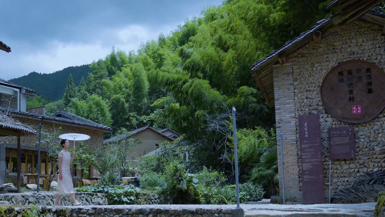Property video