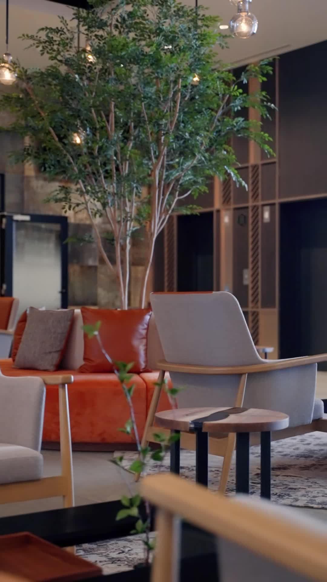 Property video