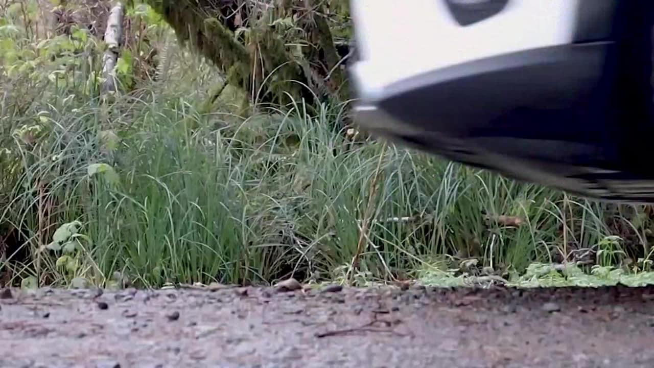 Video der Unterkunft
